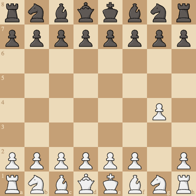 Luminous Phantom Opening